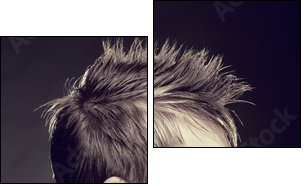 Men's hairstyle - Two-piece canvas, Diptych