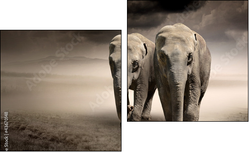 Pair of elephants in motion - Two-piece canvas, Diptych