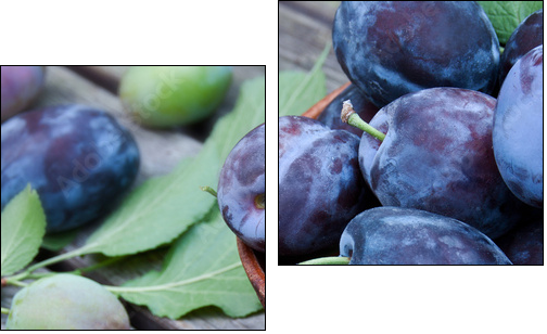 Pflaumen - Two-piece canvas, Diptych