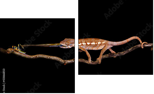 Treffer - Two-piece canvas, Diptych