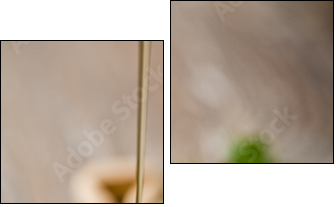 wild honey - Two-piece canvas, Diptych