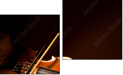 violoniste - Two-piece canvas, Diptych
