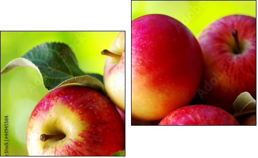 ripe red apples on table - Two-piece canvas, Diptych