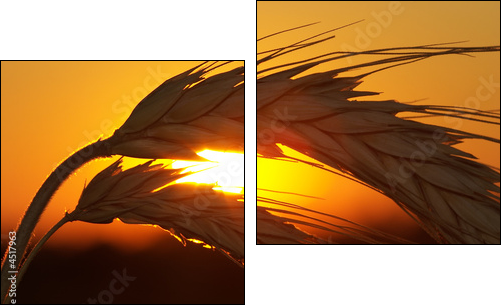 Wheat - Two-piece canvas, Diptych