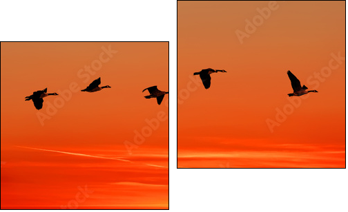 To home - Two-piece canvas, Diptych