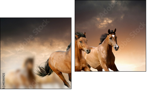horses in sunset - Two-piece canvas, Diptych