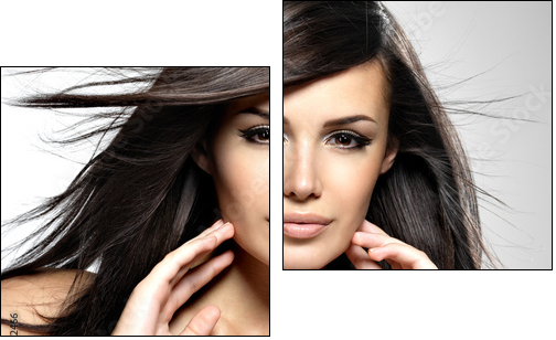 Fashion model  with beauty long straight hair. - Two-piece canvas, Diptych