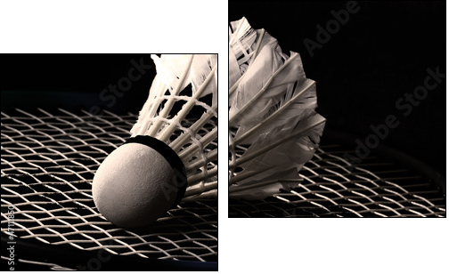 Shuttlecock on badminton racket - Two-piece canvas, Diptych