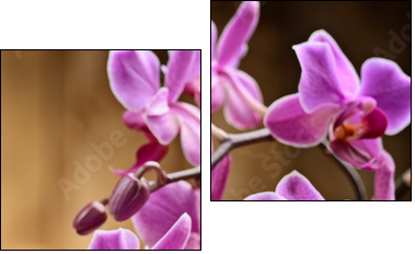 spa concept - Two-piece canvas, Diptych