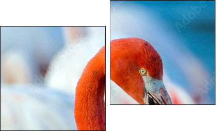 Pink flamingo on the lake - Two-piece canvas, Diptych