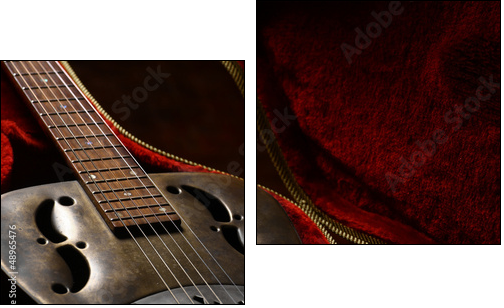 Vintage guitar in case - Two-piece canvas, Diptych