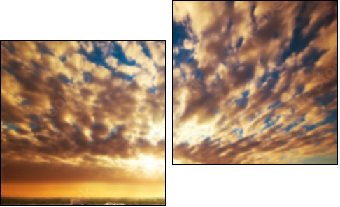 Zebras herd on African savanna at sunset. Safari in Serengeti - Two-piece canvas, Diptych