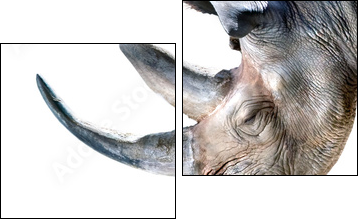 Ã¤h...nur Deko - Two-piece canvas, Diptych