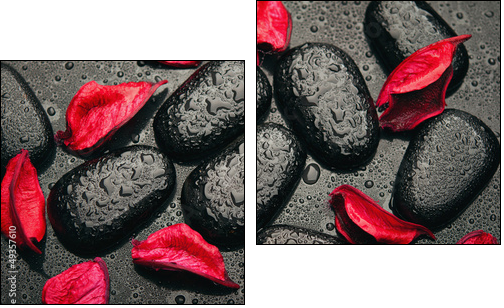 background spa. black stones and red petals with water droplets - Two-piece canvas, Diptych