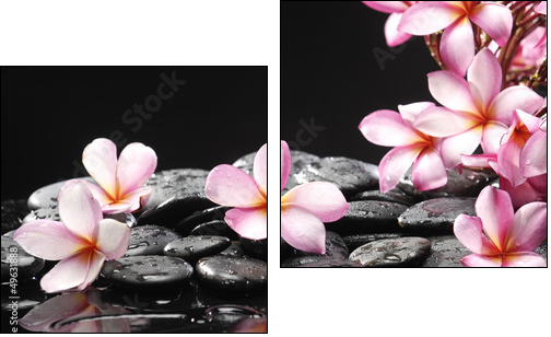 Set of frangipani with zen stones - Two-piece canvas, Diptych