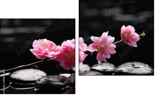 branch tropical orchid with therapy stones - Two-piece canvas, Diptych