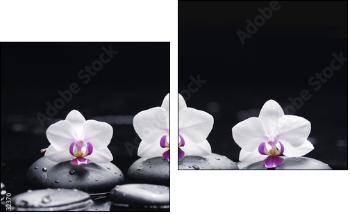 orchid flower and stones in water drops - Two-piece canvas, Diptych
