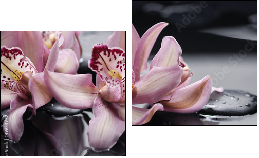 spa concept âgorgeous pink orchid and zen stones - Two-piece canvas, Diptych