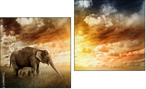 Abendfarben - Two-piece canvas, Diptych