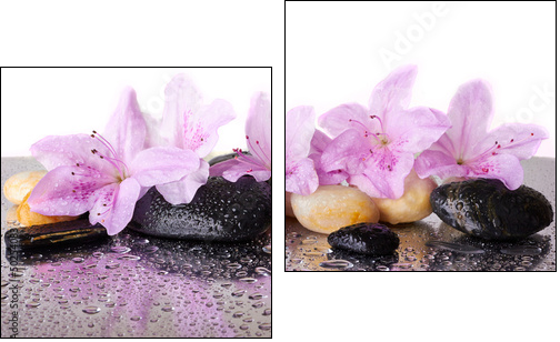 Pink flowers and black stones - Two-piece canvas, Diptych