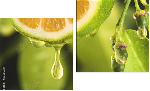 Drop of juice from a sliced lemon - Two-piece canvas, Diptych