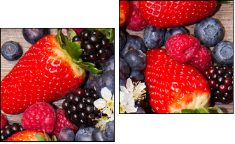 Berries - Two-piece canvas, Diptych