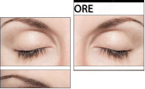 EYE AND FALSE EYELASHES - Two-piece canvas, Diptych