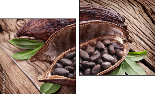 Cocoa pod - Two-piece canvas, Diptych