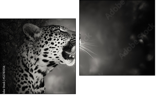 Leopard portrait - Two-piece canvas, Diptych