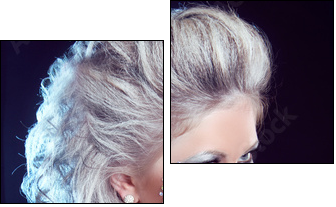 Hairstyle. Fashion Beauty Girl. Punk Style Woman with strasses o - Two-piece canvas, Diptych