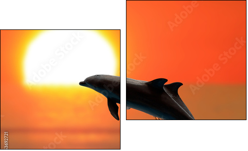 Dolphins at sunset - Two-piece canvas, Diptych