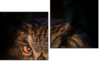 Grand Duc - Two-piece canvas, Diptych