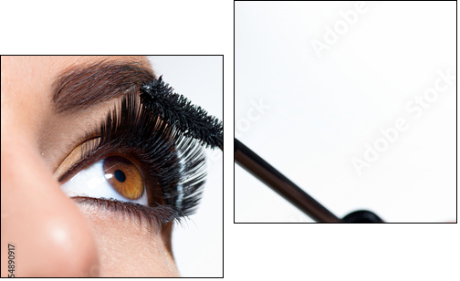 Mascara Applying. Long Lashes closeup - Two-piece canvas, Diptych
