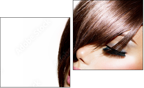 Hairstyle. Beauty Model Girl Portrait with Perfect Makeup - Two-piece canvas, Diptych