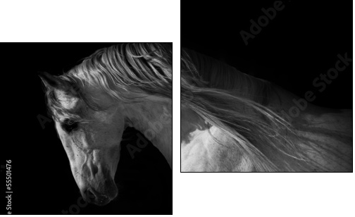 horse portrait on a dark background - Two-piece canvas, Diptych