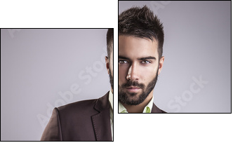 Elegant young handsome man. Studio fashion portrait. - Two-piece canvas, Diptych