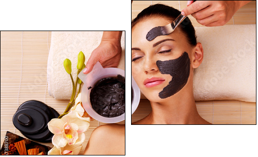 Cosmetologist smears cosmetic mask on the face of  woman - Two-piece canvas, Diptych