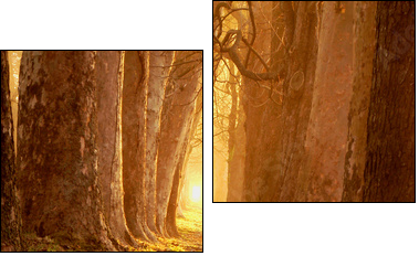 magic path - Two-piece canvas, Diptych
