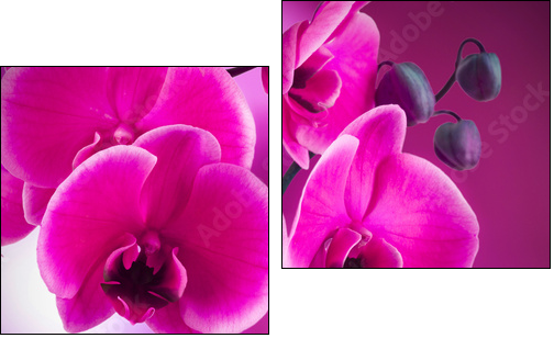 natural floral background, spa concept - Two-piece canvas, Diptych