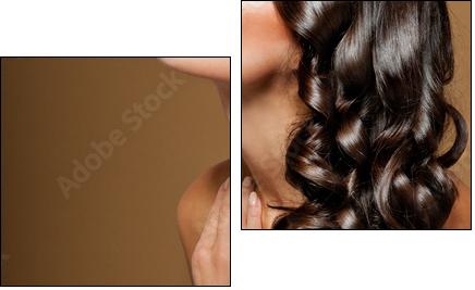 beautiful brunette with long  curly hair - Two-piece canvas, Diptych