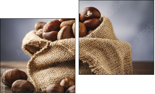 chestnuts in jute - Two-piece canvas, Diptych