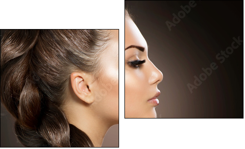 Hair Braid. Beautiful Woman with Healthy Long Hair - Two-piece canvas, Diptych