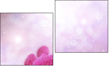 Beautiful blooming orchid  on light color background - Two-piece canvas, Diptych