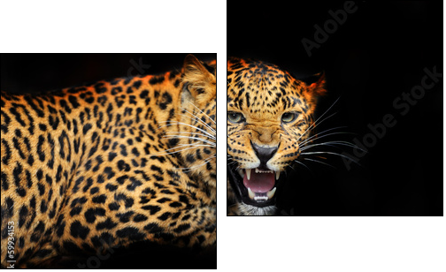 Portrait of leopard in its natural habitat - Two-piece canvas, Diptych