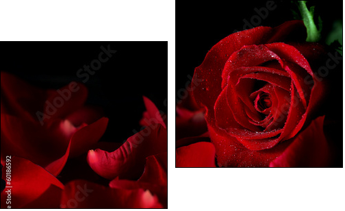 Red rose - Two-piece canvas, Diptych