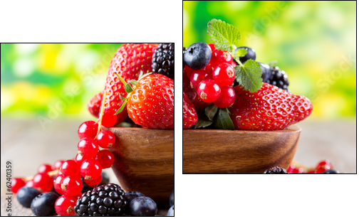 fresh berries - Two-piece canvas, Diptych