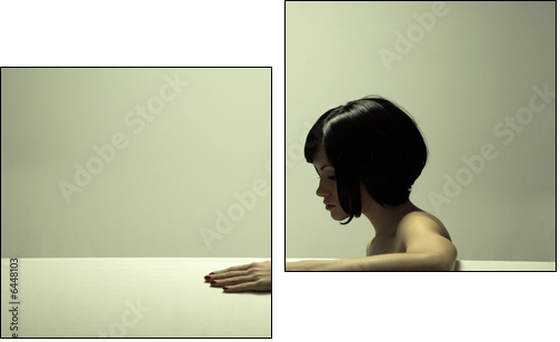 Fine art portrait of elegant girl. Studio photo. Beautiful woman - Two-piece canvas, Diptych