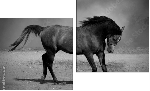 Galloping black horse - Two-piece canvas, Diptych