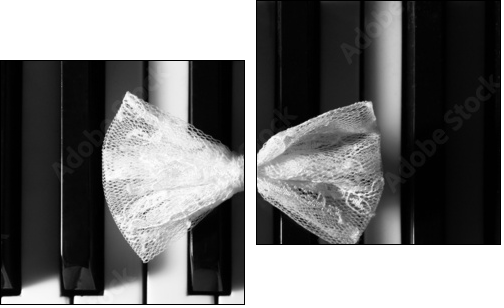 butterfly - Two-piece canvas, Diptych