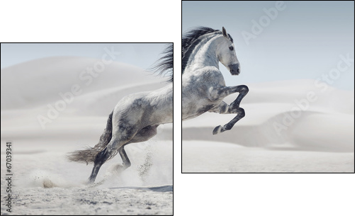Picture presenting the galloping white horse - Two-piece canvas, Diptych